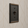 Chelsea Aged Bronze Steel - 1 Blank Wallplate