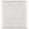 Century Warm White - 2 Blank Wallplate
