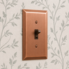 Century Antique Copper Steel - 2 Duplex Wallplate
