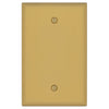 Oxford Brushed Gold - 1 Blank Wallplate