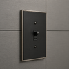 Halle Matte Black w/ Nickel Border Cast - 2 Blank Wallplate