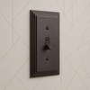 Steps Aged Bronze Cast - 2 Rocker Wallplate
