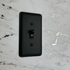Devon Black Steel - 2 Blank Wallplate