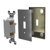 Screwless Brushed Gold - 2 Blank Wallplate