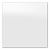 Screwless White - 2 Blank Wallplate
