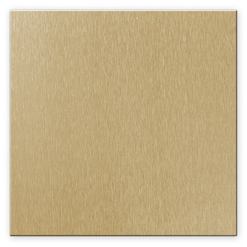 Screwless Brushed Gold - 2 Blank Wallplate