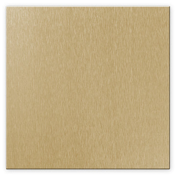 Screwless Oversized Brushed Gold - 2 Blank Wallplate