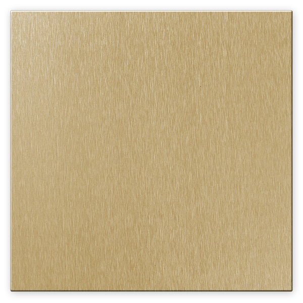 Screwless Oversized Brushed Gold - 2 Blank Wallplate