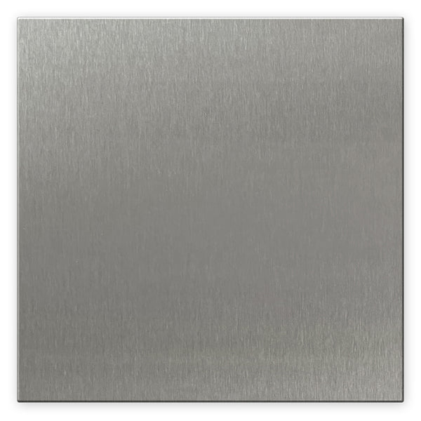 Screwless Oversized Stainless Steel - 2 Blank Wallplate