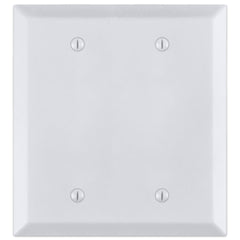 Century Bright White - 2 Blank Wallplate