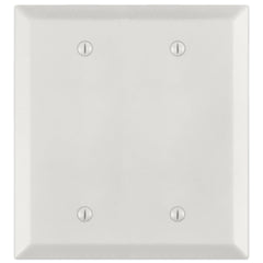 Century Warm White - 2 Blank Wallplate