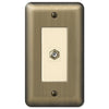 Devon Brushed Brass Steel - 1 Cable Jack Wallplate - Wallplate Warehouse 154CX 070686580271 Cable Jacks