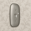 Fresno Satin Nickel - 2 Blank Wallplate - Wallplate Warehouse 835BBN  2 Blank